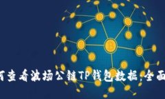 如何查看波场公链TP钱包数据：全面指南