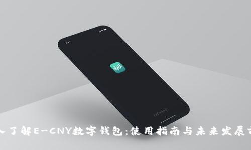 深入了解E-CNY数字钱包：使用指南与未来发展前景