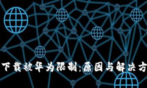 TP钱包下载被华为限制：原因与解决方案分析