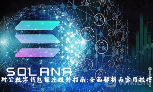 对公数字钱包额度提升指南：全面解析与实用技巧