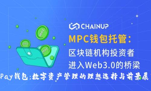 bPay钱包：数字资产管理的理想选择与前景展望