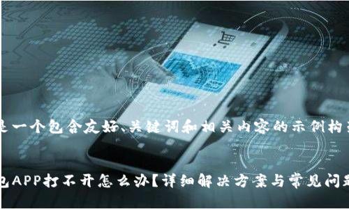 这里是一个包含友好、关键词和相关内容的示例构架。


TP钱包APP打不开怎么办？详细解决方案与常见问题解析