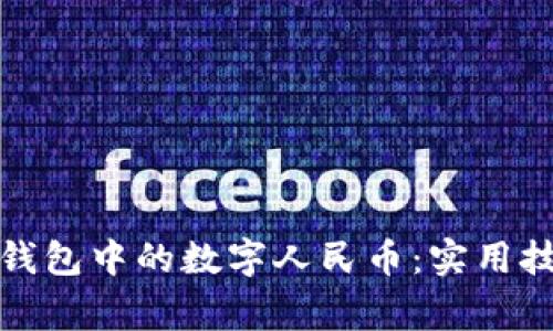 如何有效隐藏钱包中的数字人民币：实用技巧与注意事项