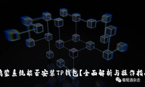鸿蒙系统能否安装TP钱包？全面解析与操作指南