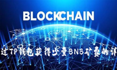 如何通过TP钱包获得少量BNB矿费的详细指南