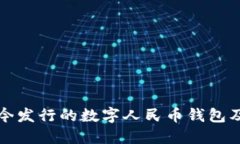 深入了解现今发行的数字人民币钱包及