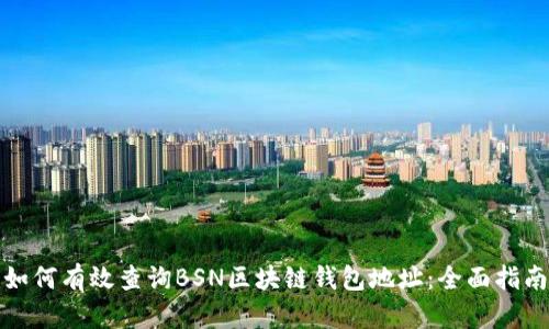 如何有效查询BSN区块链钱包地址：全面指南