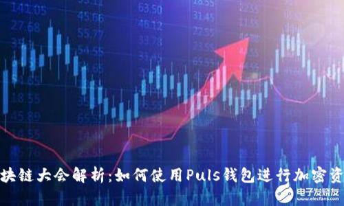 WBF区块链大会解析：如何使用Puls钱包进行加密资产管理