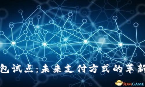 数字钱包试点：未来支付方式的革新与挑战