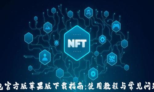 
TP钱包官方版苹果版下载指南：使用教程与常见问题解析