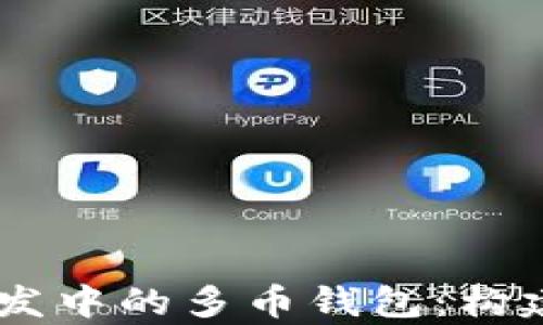 
全面解析区块链开发中的多币钱包：构建、技术、应用与挑战