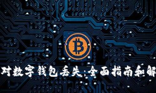 如何应对数字钱包丢失：全面指南和解决方案