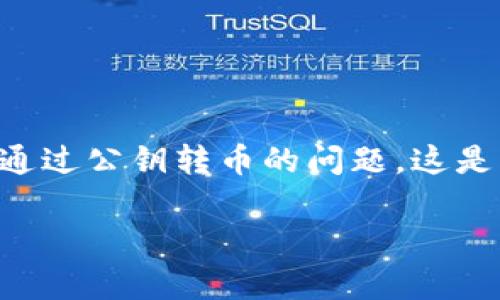 在数字货币世界中，钱包的使用和币的转移是最基本的操作之一。对于“T P钱包”能否直接通过公钥转币的问题，这是一个需要深入了解的主题。下面我将为你提供一个、相关关键词，并就此问题进行详细介绍。

如何通过公钥在T P钱包中进行转币操作？详细解析