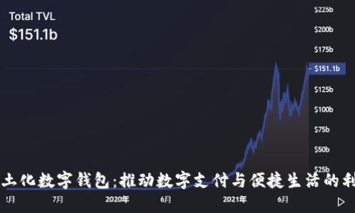 本土化数字钱包：推动数字支付与便捷生活的利器