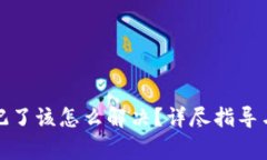 TP钱包密码忘记了该怎么解决？详尽指导与常见问