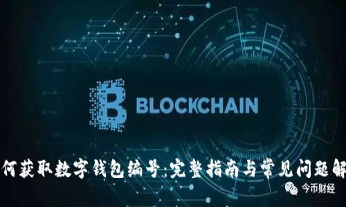 如何获取数字钱包编号：完整指南与常见问题解析