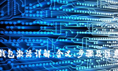 数字钱包激活详解：含义、步骤及注意事项