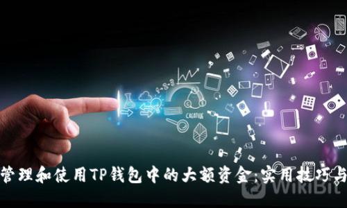 如何管理和使用TP钱包中的大额资金：实用技巧与建议