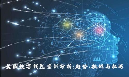 美国数字钱包案例分析：趋势、挑战与机遇