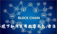 无网环境下如何使用数字钱包：方法与建议