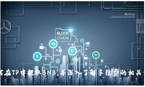 如何在TP中提取BNB，并深入了解手续费的相关信息