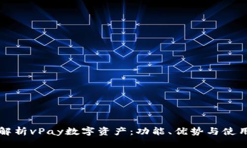 全面解析vPay数字资产：功能、优势与使用指南